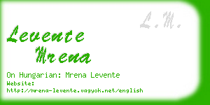 levente mrena business card